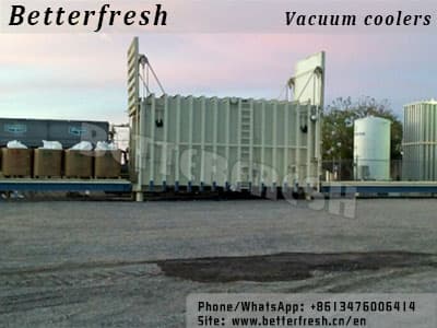 Vacuum Coolers vegetable Freezer Forced Air Cooling
